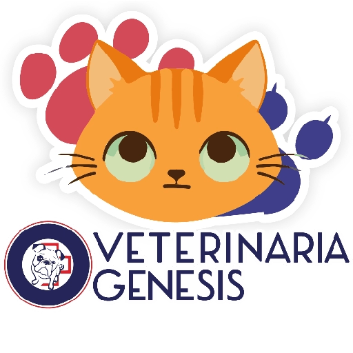 Vet Génesis emojis  20