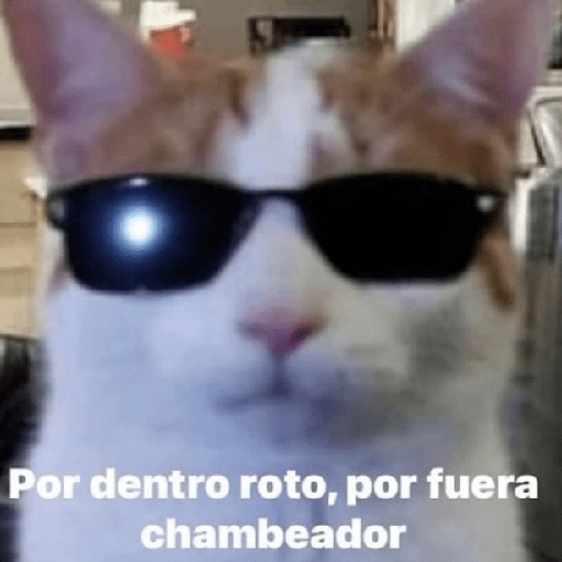Mix Shitpost 😎🤙 14 14