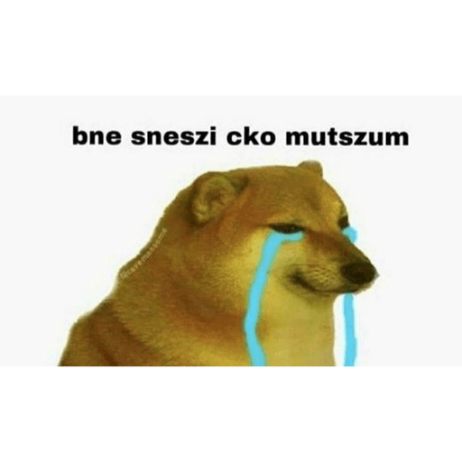 Türkçe meme 3 29