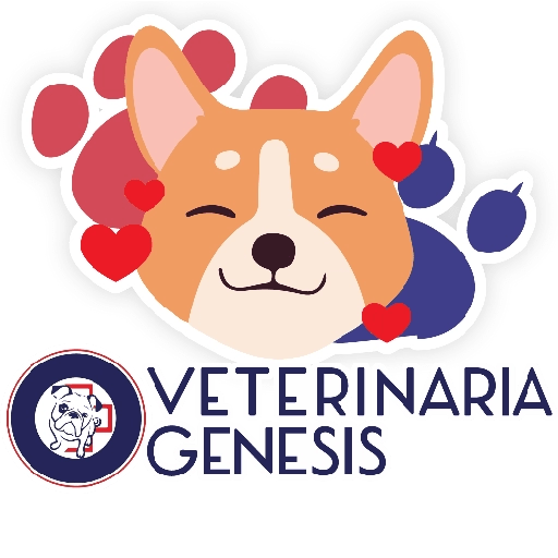 Vet Génesis emojis  26