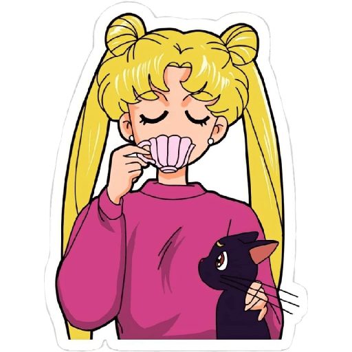 Sailor moon✨🩷 10
