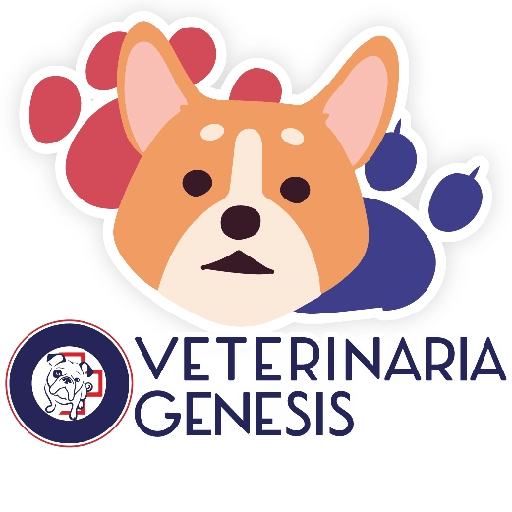 Vet Génesis emojis  25