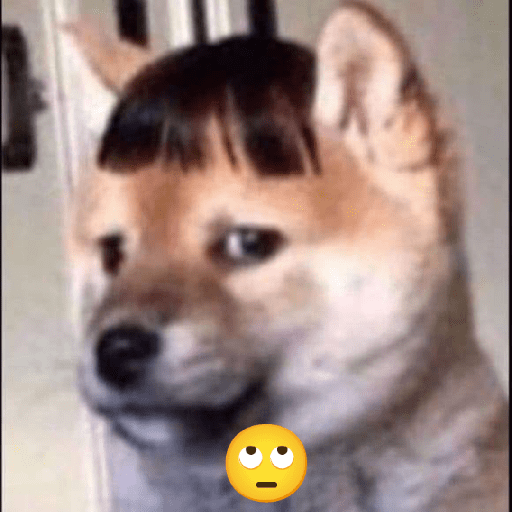 Perritos raros 15