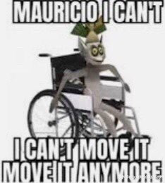 Funny 6