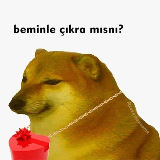 Türkçe meme 3 28