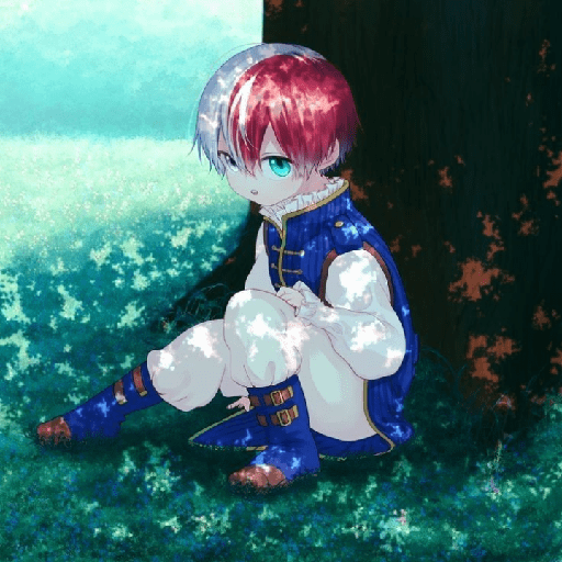 Todoroki chiquito 16