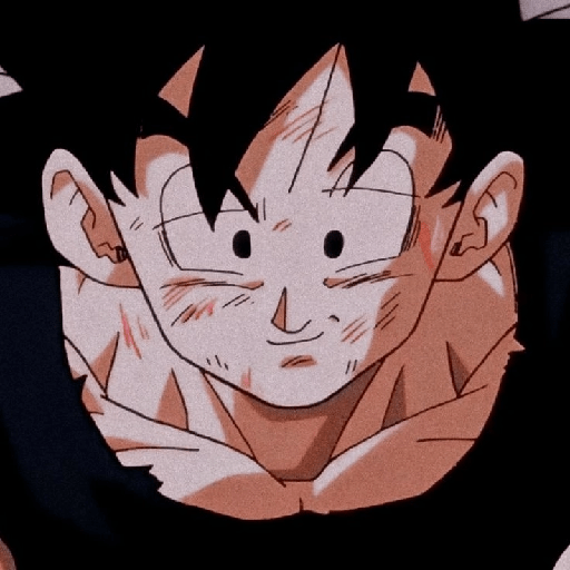 Son Goku 22 16