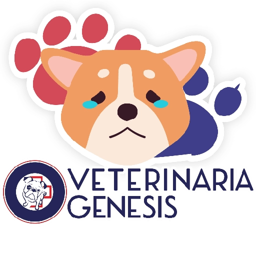 Vet Génesis emojis  29