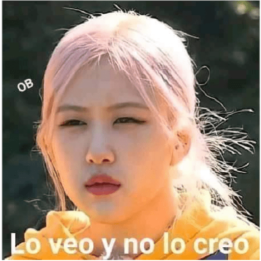 Blackpink 14