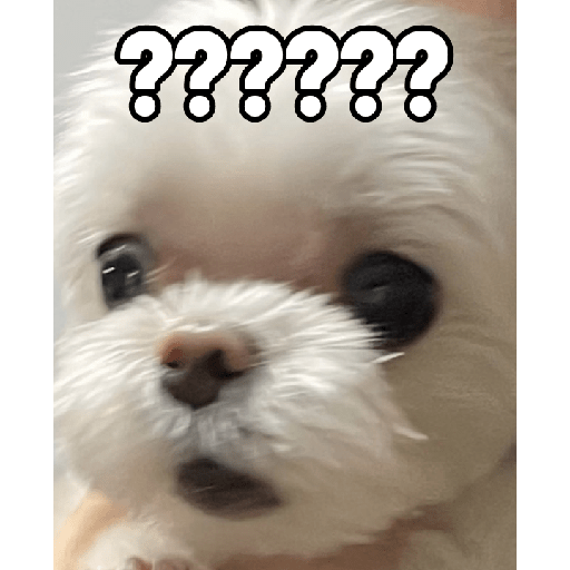 Random react memes 30