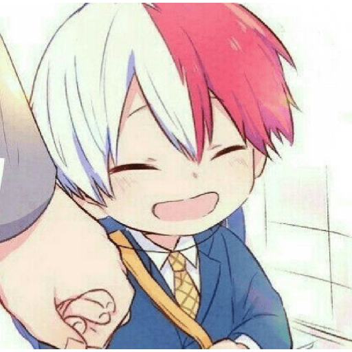 Todoroki chiquito 22