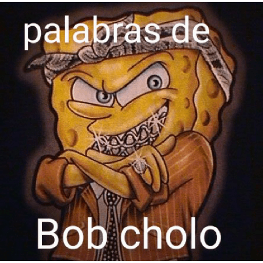 Bob cholo 🤪🤙🏿 9