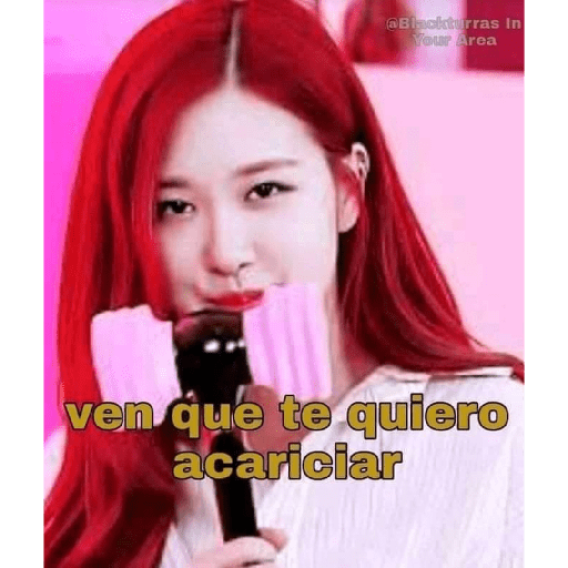 Blackpink 20