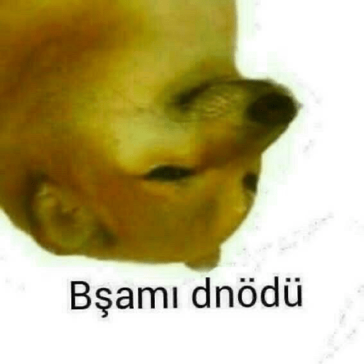 Türkçe meme 3 19
