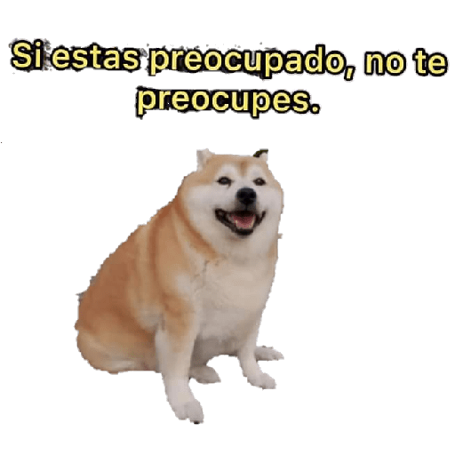 Perritos 13