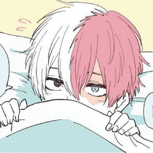 Todoroki chiquito 27