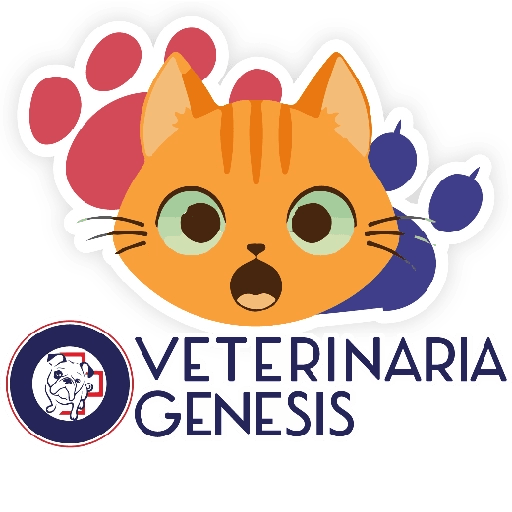 Vet Génesis emojis  21