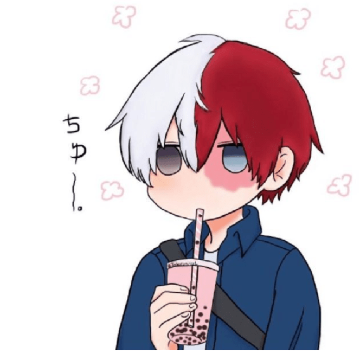 Todoroki chiquito 20