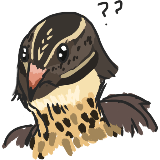 Icecream the quail 3