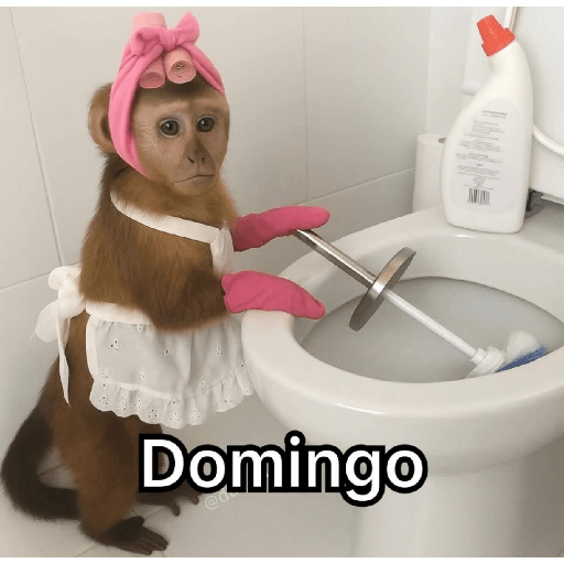 Memes 57 9