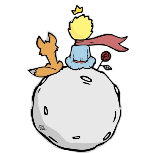 El principito 8