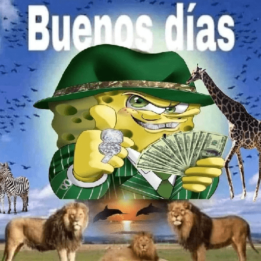 Bob cholo 1