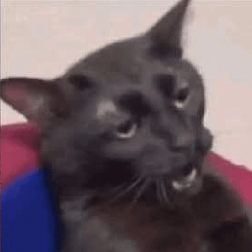 Memes 57 15