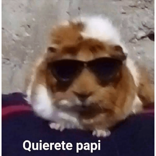 Graciosos 🤪😜 6