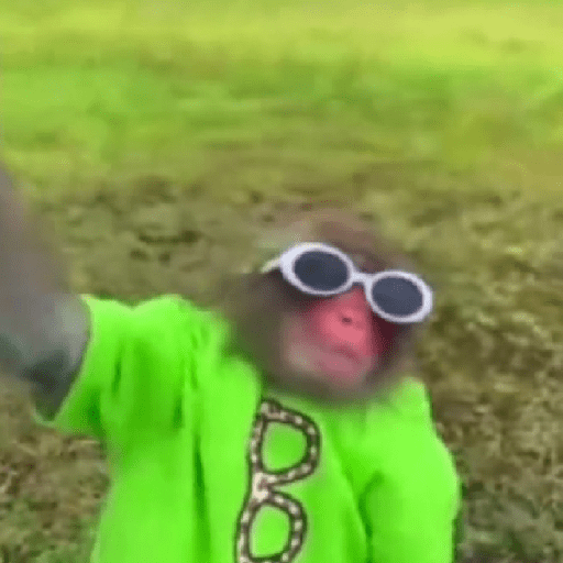 Monkeys monki macaquinhos 9 14