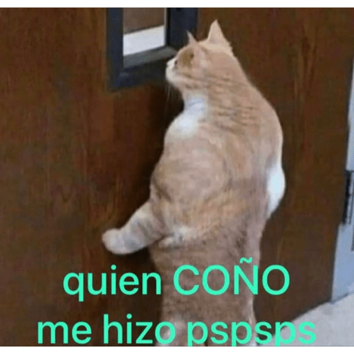 Animalillos Chidos🙈 2
