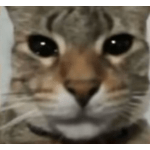 Memes #2 xd 4