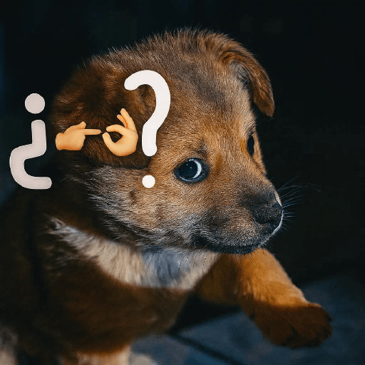 Randomyo22 4