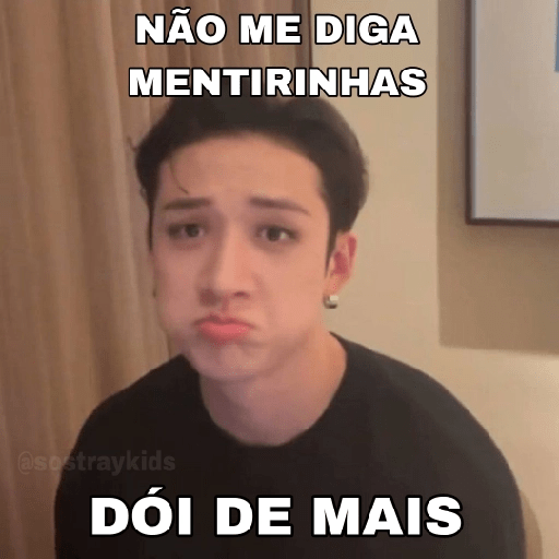 Só Stray Kids - Pack 10 26
