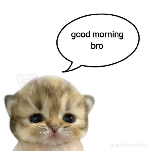 Kucing 3