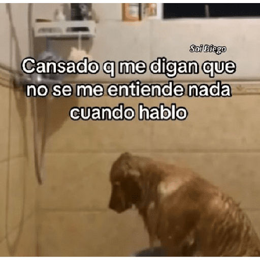 ✨ Humor Femenino ✨ 14