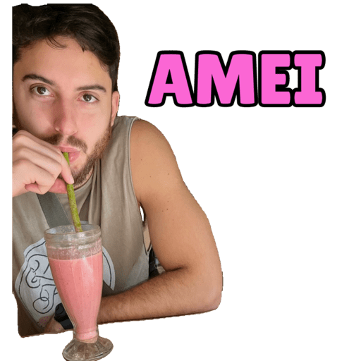 Raça stickers 2025 7