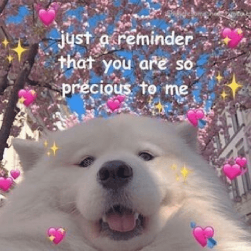 Samoyed meme cute 17