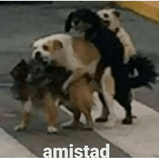 XD? 16