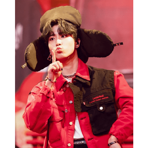 Han Jisung Best Boy <3 5 14