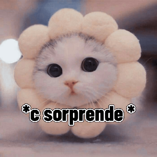 Gatitos tiernos 30