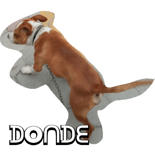 No se que poner 10