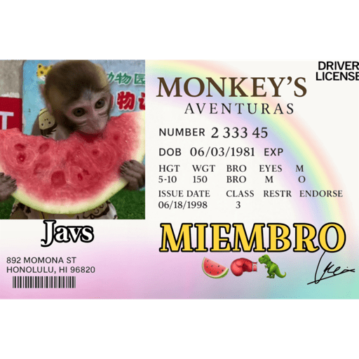 Monkey aventuras 🐒💓 1