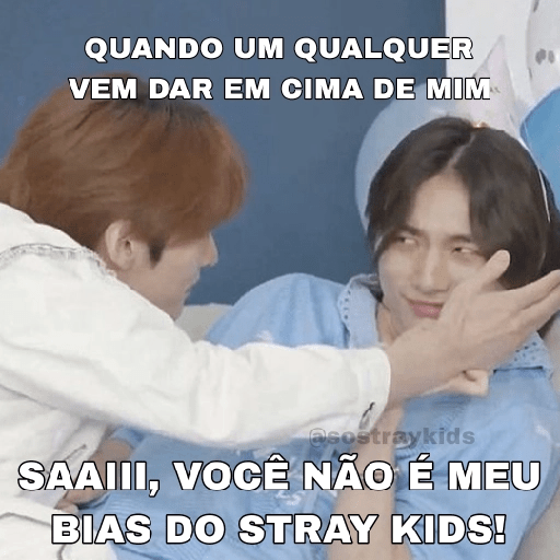 Só Stray Kids - Pack 10 19