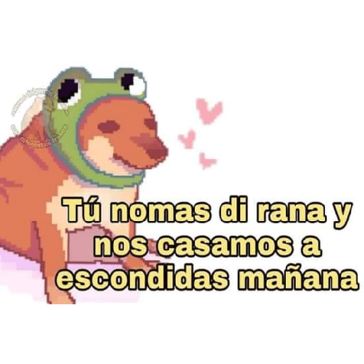 XD? 22
