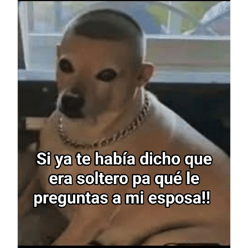 Memes 66 3