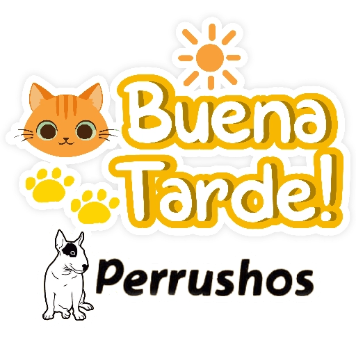 Perruchos frases 27