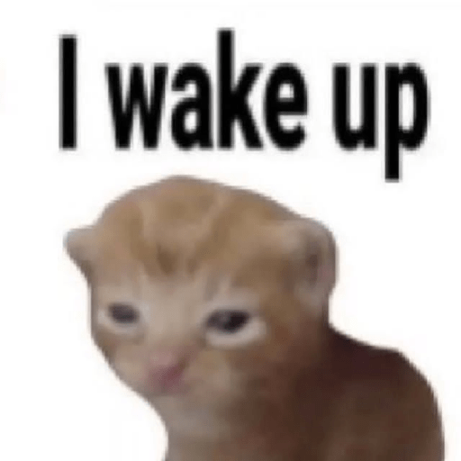 Kucing 1