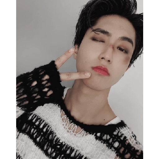 Han Jisung Best Boy <3 5 11