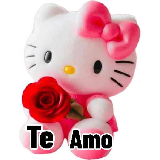 Hello kitty com  flores 🌹 6