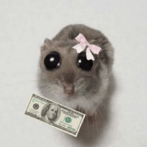Hamster 🎀 5